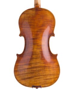 Prima Violin Back