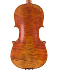 Prima Viola Back