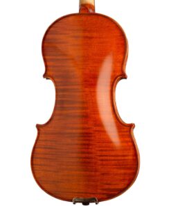 Sonata Violin Back