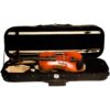 Sonata Violin Package
