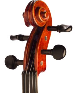 Sonata Violin Scroll