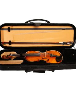 Aria Violin Kit