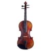 Cadenza Violin
