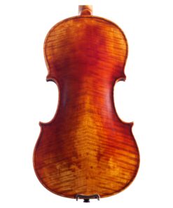 Cadenza Violin Back