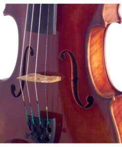 Cadenza Violin Detail