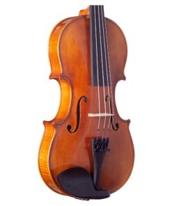Libero Violin Angle Low