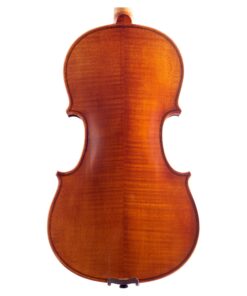 Libero Violin Back