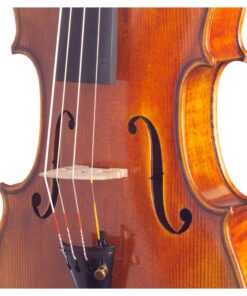 Marcato Violin Detail