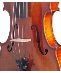 Prima Violin Detail