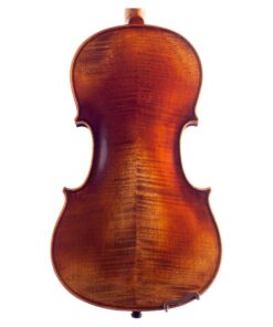 Sonata Violin Back