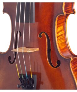 Sonata Violin Detail