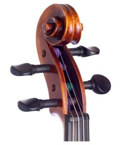 Sonata Violin Scroll