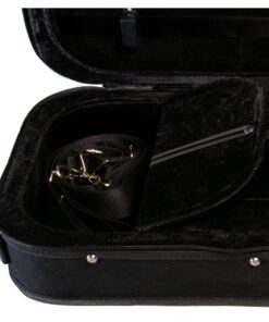 220 Violin Case Detail