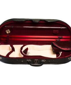 320 Violin Case Inside
