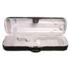 520 Violin Case Inside