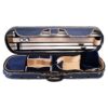 710 Violin Case Inside