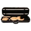 210 Violin Case Inside
