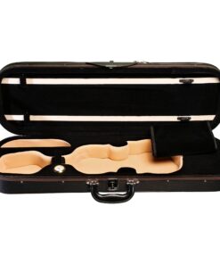 210 Violin Case Inside